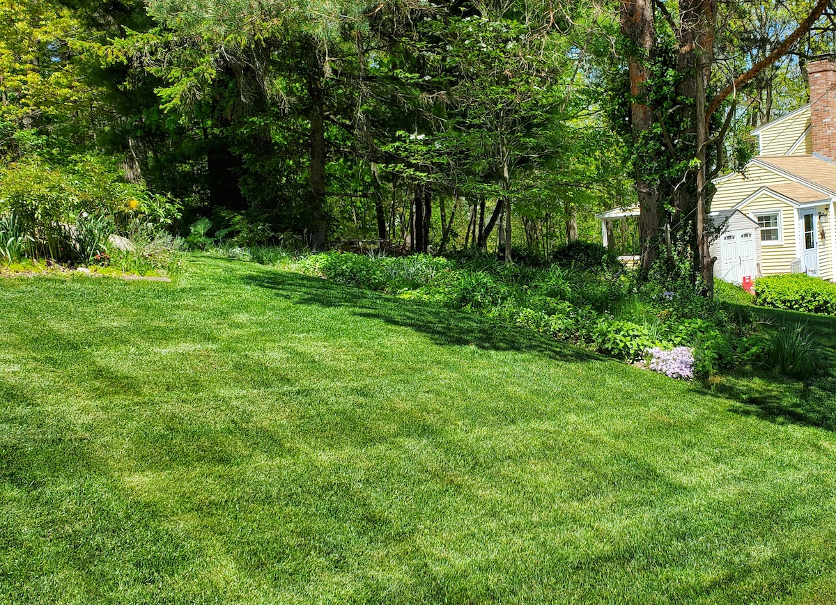 lawn installed by Ideal Landscape