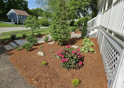 landscape plantings in Holden MA by Ideal Landscape